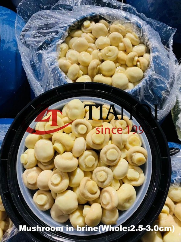 2025111309514232284 2025111309514232284